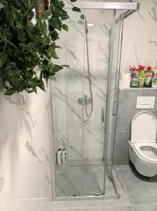 a shower stall in a bathroom with a toilet at INKOGNITO Centar 39 in Brčko