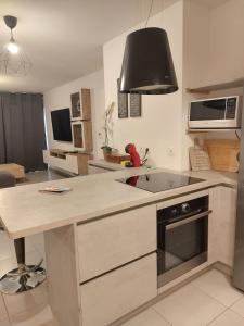 a kitchen with a sink and a stove top oven at Villeurbanne la soie - Rhône express in Villeurbanne