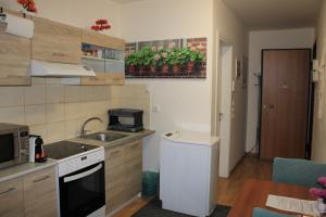 Kuchyň nebo kuchyňský kout v ubytování Cozy Mezonette near City Center Athens near Metro