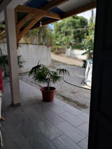 Un jardín fuera de Villa aux 4 palmiers