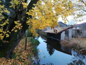 een boom met gele bladeren naast een rivier bij Le gîte du coin in Dieue-sur-Meuse