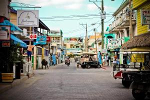 a street in a city with people and a cow on the street at Enjoy Savings Oceanfront Private Estate By Alom in San Pedro