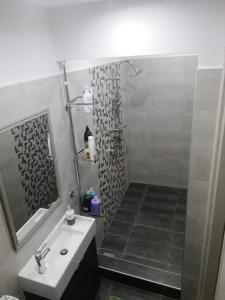 a bathroom with a shower and a sink at Nefele - Athens Airport Home in Artemida