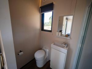 a small bathroom with a toilet and a sink at Bundaleer Tiny House 1 by Tiny Away in Doyles Creek +11 photos