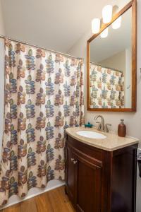 a bathroom with a sink and a shower curtain at Private Cozy Lake Escape in Lula