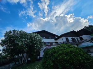 a white building with a tree in front of it at Hotel New Genziana in Altavilla Vicentina
