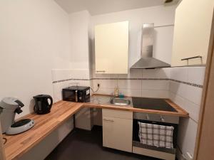 a small kitchen with a sink and a microwave at Apartment DENISA in Gera