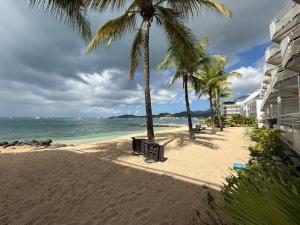 a sandy beach with palm trees and the ocean at Cozy Beachside Studio with Beach Access & Pool in Marigot