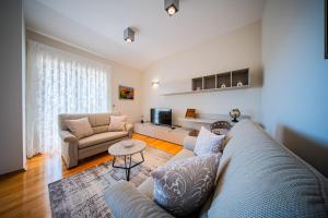 Χώρος καθιστικού στο Kings View Šarkić