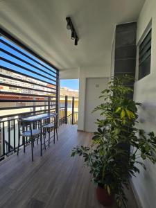 a balcony with a table and chairs and a plant at AH Residencial in Antofagasta