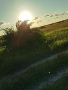 Gallery image of Dona Maria Guest Room in Xai-Xai