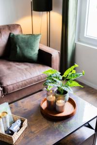 ein Wohnzimmer mit einem Couchtisch mit Pflanzen drauf in der Unterkunft Cozy - Private Hot Tub & Garden - Fire Pit - Pet Friendly in Hajdúszoboszló