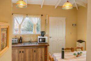 a kitchen with a sink and a microwave at Hotel Aparts Cabañas Tierra de Glaciares in El Calafate