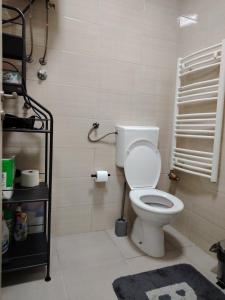 a bathroom with a white toilet and a rug at River stay in Sremska Mitrovica