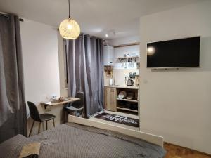 a bedroom with a bed and a desk and a tv at River stay in Sremska Mitrovica