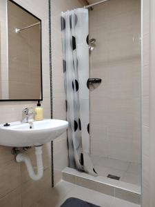 a bathroom with a sink and a shower at River stay in Sremska Mitrovica