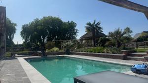 a swimming pool in the middle of a yard at BnB bergelen in Wevelgem
