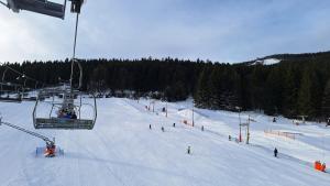 Skifaciliteter ved lejlighedshotellet eller i nærheden