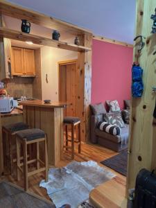 a kitchen and a living room with a couch at Apartman Savic Jahorina in Jahorina +10 photos