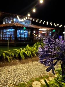 a purple flower in front of a building at night at Hotel Reserva Monarca in Salento
