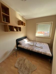 Φωτογραφία από το άλμπουμ του River apartman Paraćin σε Paraćin