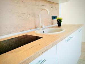 Fotografie z fotogalerie ubytování M&M Apartment VII Self CHECK-IN v destinaci Panevėžys + 9 fotografií