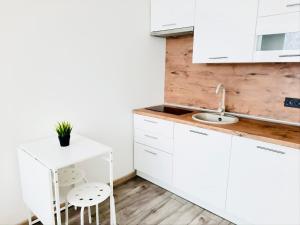 Kuchyň nebo kuchyňský kout v ubytování M&M Apartment VII Self CHECK-IN