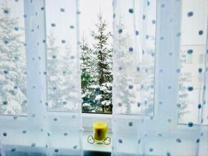 M&M Apartment VII Self CHECK-IN v zimě