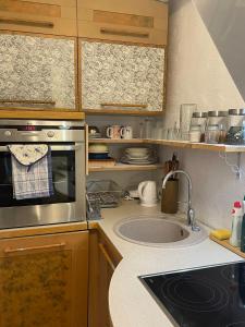 een kleine keuken met een spoelbak en een fornuis bij Järveküla in Kohtla-Järve