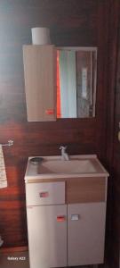 a bathroom with a white sink and a mirror at recanto de pepe 1 in Santa Vitória do Palmar
