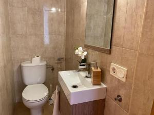 a bathroom with a toilet and a sink and a mirror at Casa rural El Yelmo in Miguel Esteban +24 photos