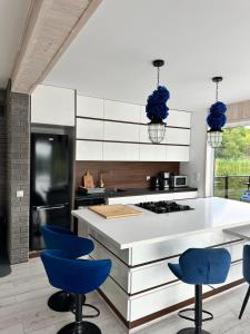 Η κουζίνα ή μικρή κουζίνα στο Dom na wodzie +13 φωτογραφίες