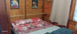 een klein bed in een kamer met houten wanden bij Cabañas Recanto do pepe in Santa Vitória do Palmar