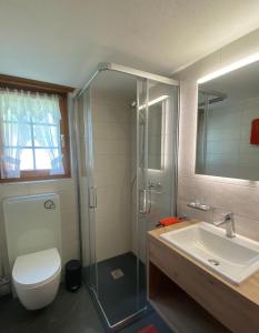 a bathroom with a shower and a toilet and a sink at Apartments Sarazena in Saas-Grund