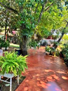 a garden with a tree and a brick walkway at Los Monges Aparthotel in Ciudad del Este