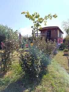 Zahrada ubytování Roulotte Lou Gregau + 3 fotografie