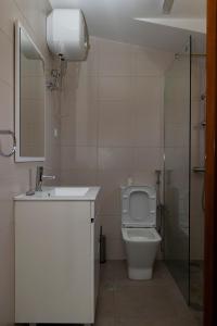 a bathroom with a toilet and a sink and a shower at Quarto com Vista para a Cidade in Ribeira Grande