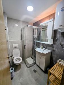 兹拉蒂博尔Zlatiborske noći的带淋浴、马桶和水槽的浴室