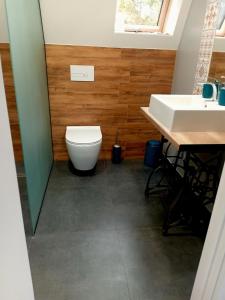 a bathroom with a toilet and a sink at М'юзіка Карпат in Yavoriv