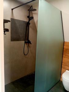 a shower stall in a bathroom with a toilet at М'юзіка Карпат in Yavoriv