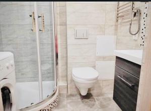 een badkamer met douche, toilet en wastafel bij M&M Apartment I SELF CHECK-IN near Panevezys in Velžys +18 foto's