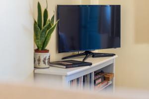 een televisie op een witte plank met een plant bij Gouveia Forest Guest House in Gouveia