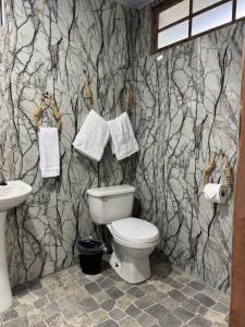 a bathroom with a toilet and a sink at Eco Amigo el Rincón in Cerro Punta