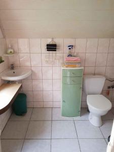 een badkamer met toilet en wastafel bij Holiday home Frymburk - Lipno-Stausee 1806 in Haidberg
