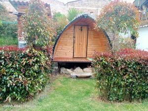 Κήπος έξω από το Bahareque hospedaje