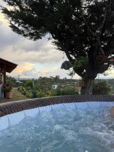a swimming pool with a tree in the background at Encantadora finca en el corazón de Marinilla con vistas únicas y ubicación privilegiada in Marinilla