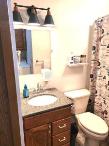 a bathroom with a sink and a toilet and a mirror at New! Huron Paradise - Family-friendly Lakefront! in Au Gres +41 photos