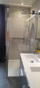 a bathroom with a shower and a white sink at Kooglof Maison in Ostwald