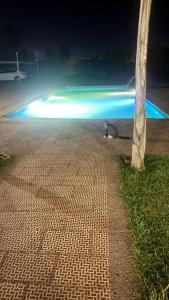 Fotografie z fotogalerie ubytování Villa bnssasi v Marrákéši