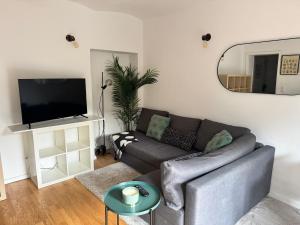 Μια τηλεόραση ή/και κέντρο ψυχαγωγίας στο Luxury Cosy apartment in Bonn